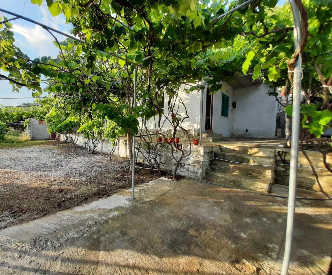 Guest house Jungle House *